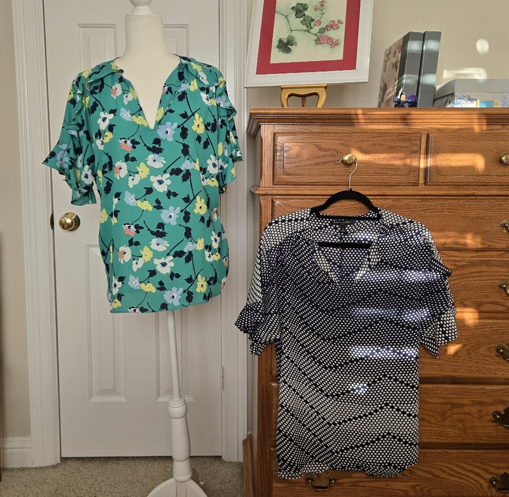 Banana Republic 2 V-Neck Lightly Ruffled Blouses - EUC